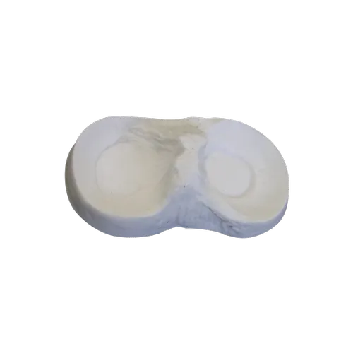 WHITE MODEL MENISCUS