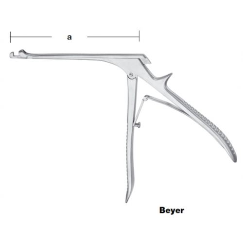 Skip to the beginning of the images gallery Beyer atticus punch