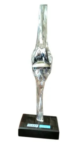 Knee Implant Model