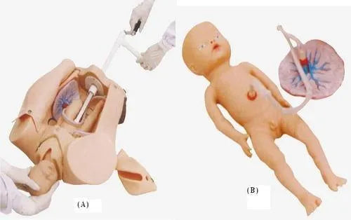 KKI-F53 Advanced Delivery Mechanism Demonstration Simulator