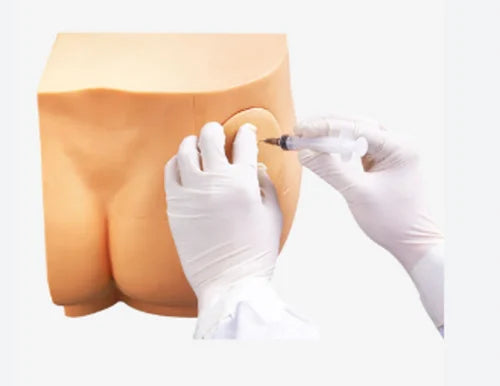 Buttocks Intramuscular Injection Model
