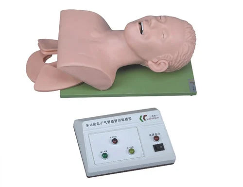 Electronic Trachea Airway Intubation Training Model
