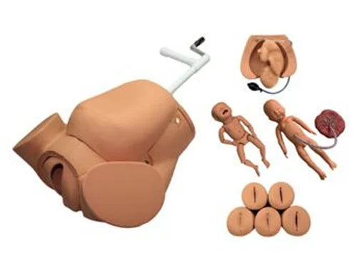 KKI-F54 Advanced Abdominal Palpation and Delivery Mechanism Integrated Simulator