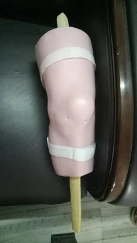 Knee Arthroscopy Anatomical Model