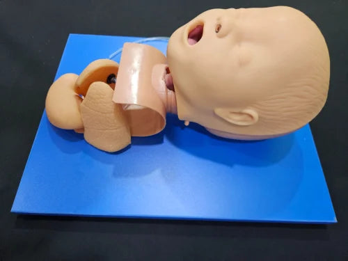 Neonate Trachea Intubation Training Model