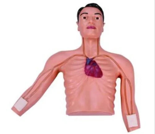 PICC Intervention Simulator