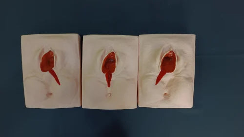 Vulva Suturing Training Simulator