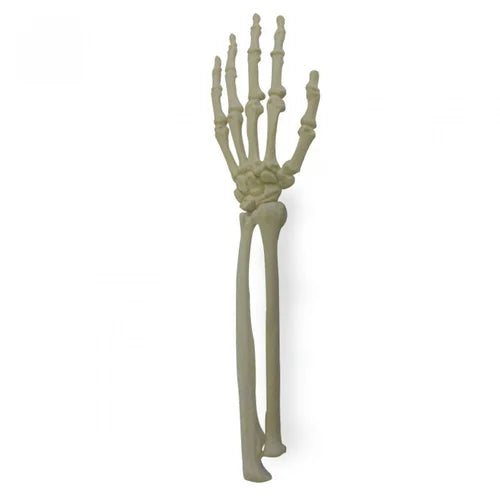 KKI2012 Left Wrist Saw Bone