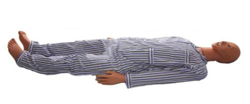 Adult Nursing & Auscultation Manikin