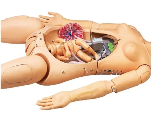 Advanced Delivery and Maternal Simulator