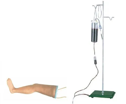 Advanced Intravenous Transfusion Leg Model