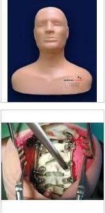 Fluoroscopy Cervical Spine Simulator Model