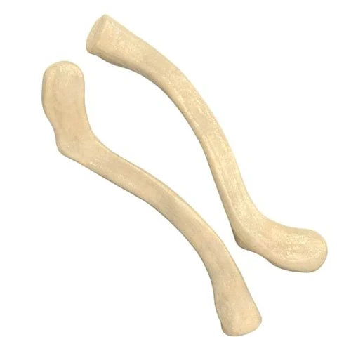 Clavicle Bone Model