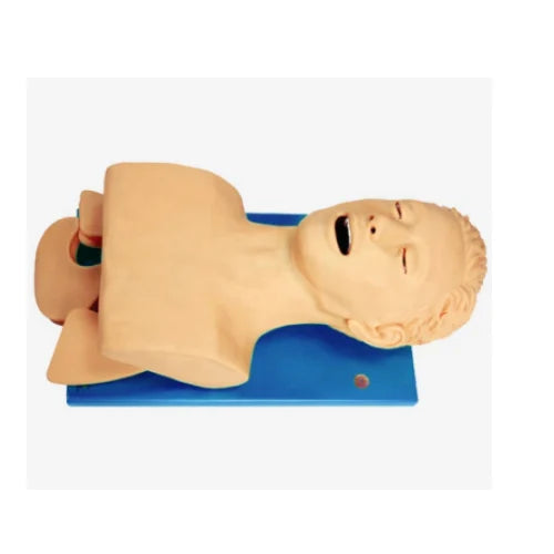 Electric Trachea Intubation Model