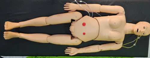H 106 Basic Nursing Manikin Female