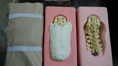 Lumbar Sacrum Surgery Model