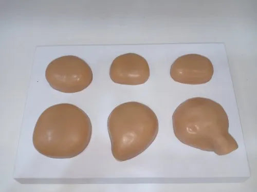 Rubber Prostate Model