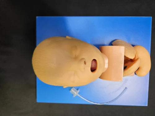 Infant Trachea Intubation Model
