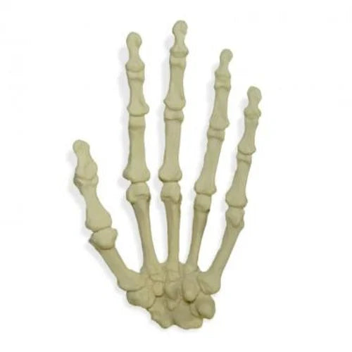 KKI1001- Left Hand Saw Bone