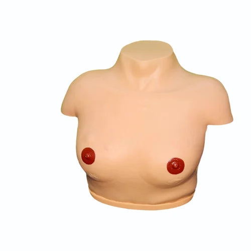 KKI/F 0019D Electronic Inspection and Palpation of Breast Simulator