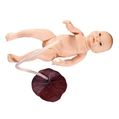 KKI-409C Baby with Placenta and Umbilical Cord