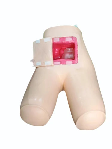 KKI-H35 Enema and Assisted Defecation Training Simulator
