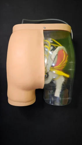 KKI-HS10B Advanced Buttocks Intramuscular Injection Simulator