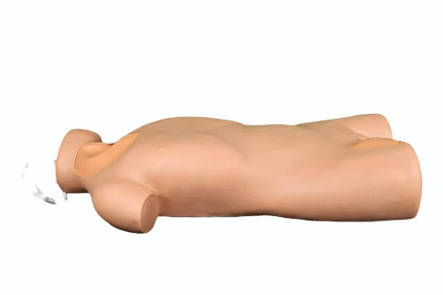 KKI-L68A Full Functional Central Injection Torso Model