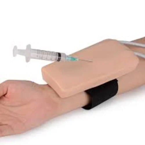 Kki-s12 Intramuscular Injection Model