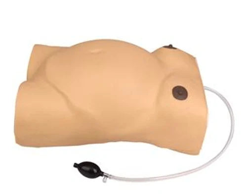 Maternity Examination Nursing Simulator ( with FHS)