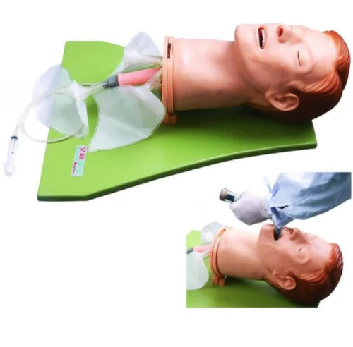 Multi Functional Airway Management Model