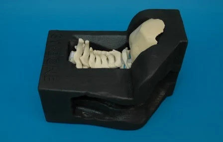 Spine LG Bed Cervical Model