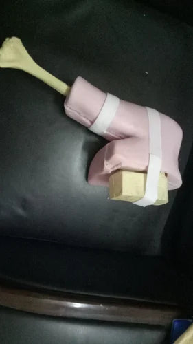 Shoulder Arthroscopy Anatomical Model