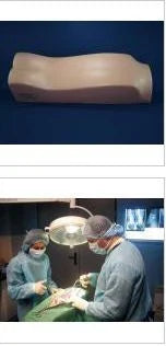 Scoliosis Spine Surgery Simulator Model