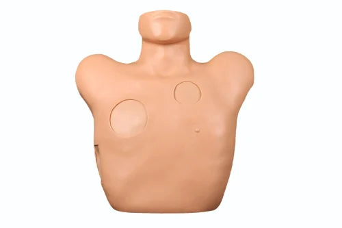 Thoracentesis Drainage Model