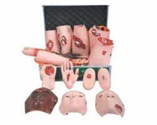 Trauma Evaluation Model