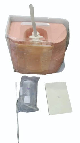 Spinal, Lumbar Puncture Model